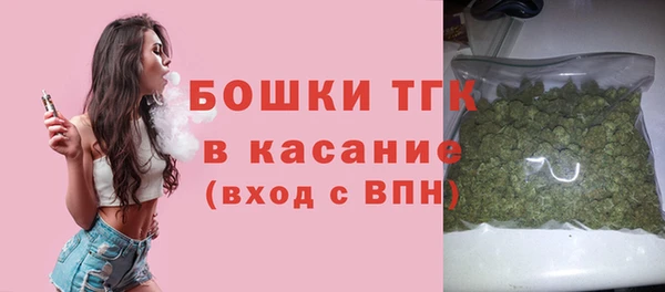 стафф Аркадак