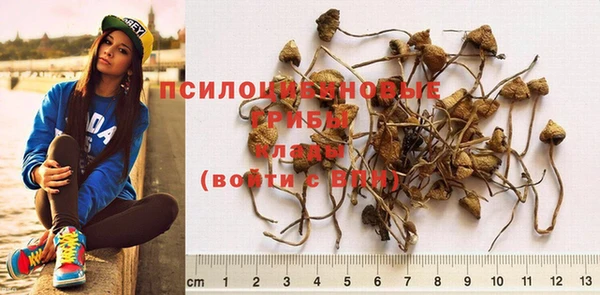 гашишное масло Покачи