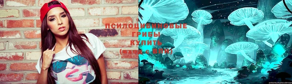 МДПВ Арсеньев