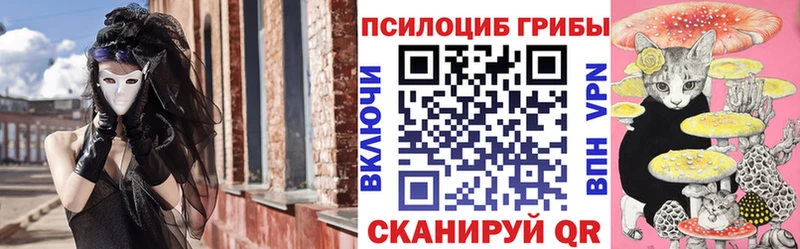 Галлюциногенные грибы Psilocybe  закладка  Североморск 